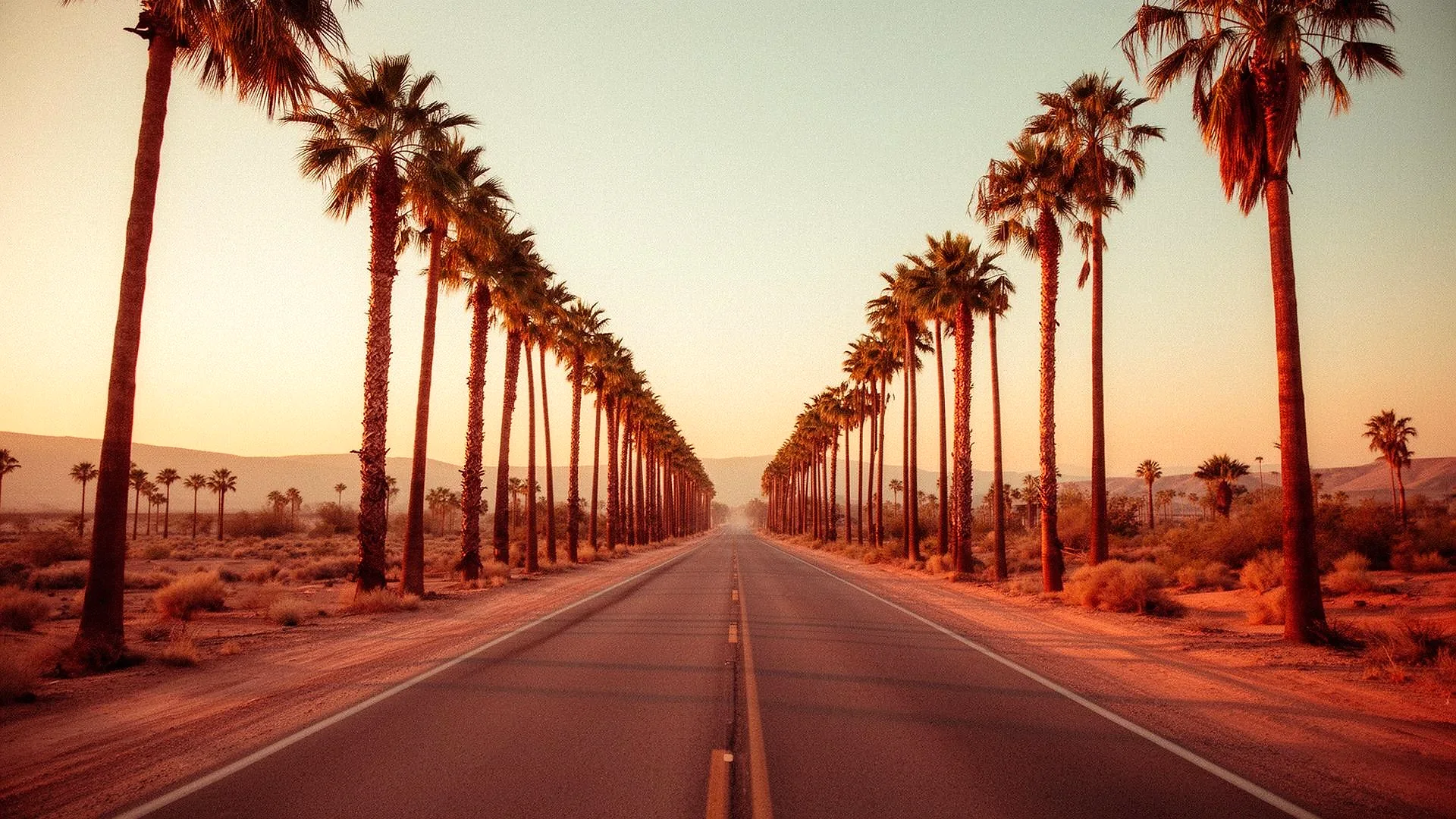 Empty palm-lined desert road at golden hour