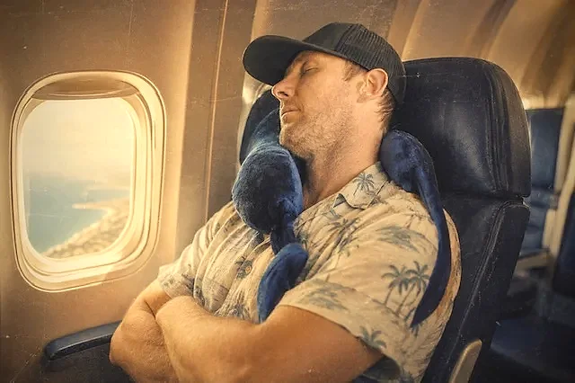 Resting against an airplane window at golden hour